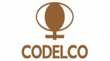 codelco consultora recursos humanos